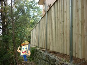 Timber Fence