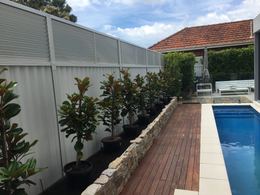 Colorbond Fence Extensions