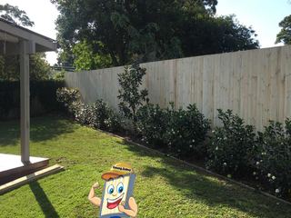Single paling timber fencing
