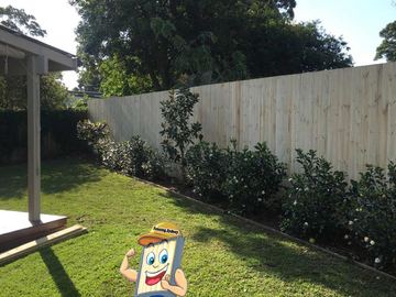 Single Paling Timber Fencing 1.8m High