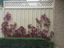 Lattice Height Extension Panels @ 300mm (H)