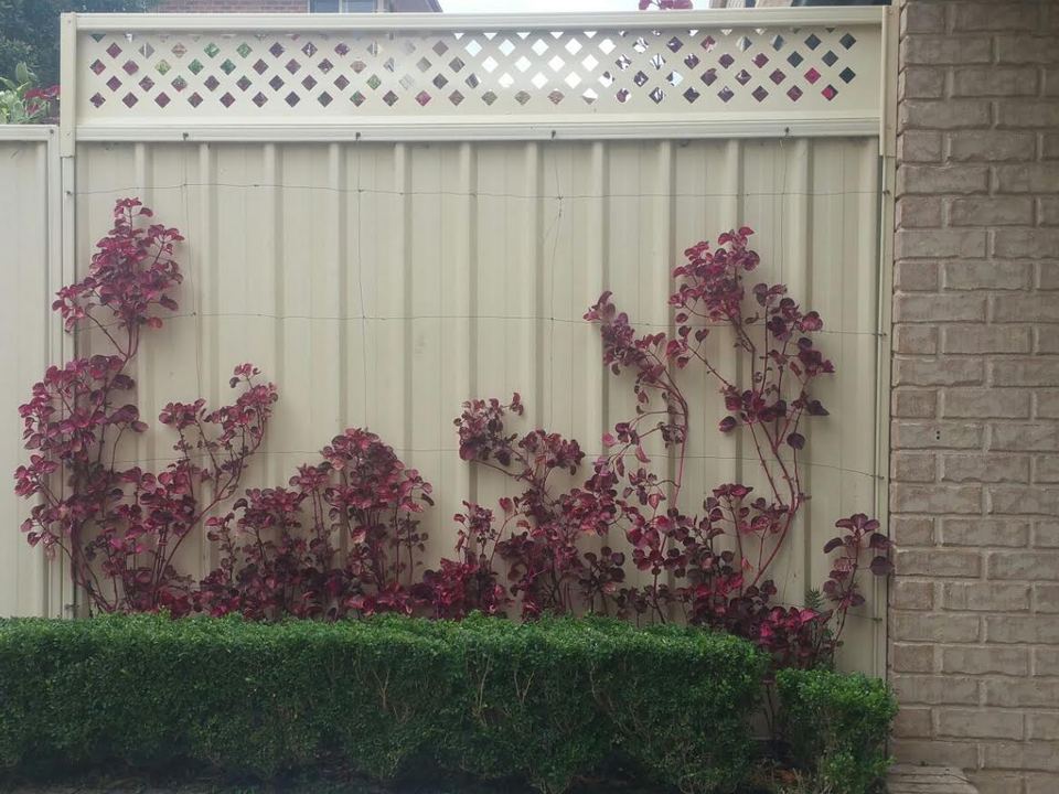Fencing across Cumberland City Council