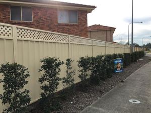 Colorbond Fence with Lattice Inserts