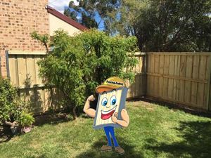 Treated Pine Timber Fence