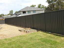 Colorbond Fencing Sydney