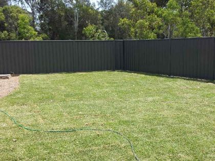 Colorbond fence, Slate Grey, Marsfield