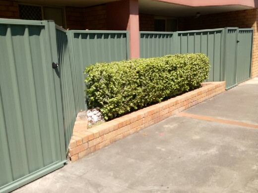 Fencing in Arncliffe