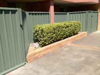 Colorbond fencing & gates