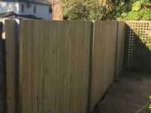 Single Paling Timber Fence with Steel Posts
