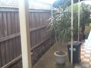 Old Fence