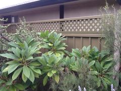 Existing Colorbond Fence Lattice Height Extension