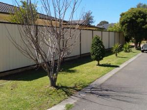 Colorbond fencing