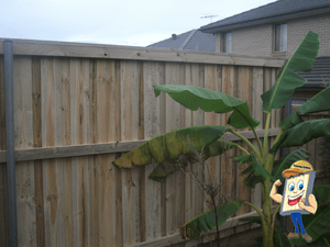 Rail Side of a Lap N Cap Timber Fence