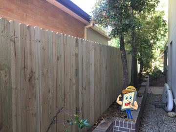 Single Paling Timber Fencing Per Metre