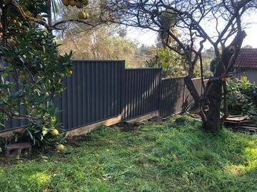 Charcoal Colorbond privacy fence stepping down a garden beside a citrus tree