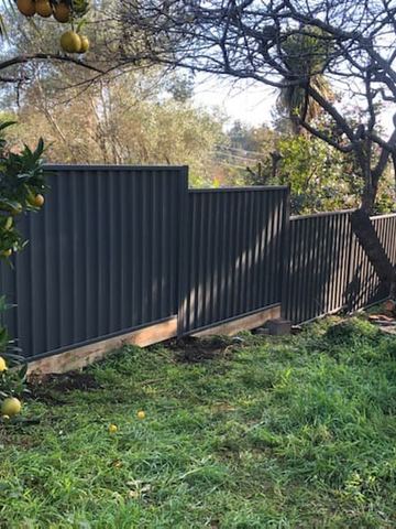 Charcoal Colorbond privacy fence stepping down a garden beside a citrus tree