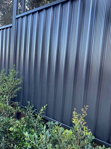 Dark Colorbond privacy fence with a garden shrub at the near corner