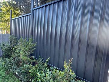 Dark Colorbond privacy fence with a garden shrub at the near corner