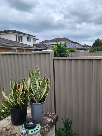 Beige Colorbond privacy fence behind potted plants on a courtyard bench