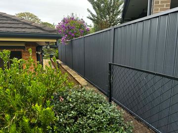 Charcoal Colorbond privacy fence with a black pool-mesh panel in the garden