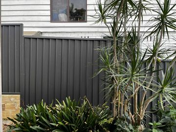 Charcoal Colorbond privacy fence beside a white house wall and a yucca