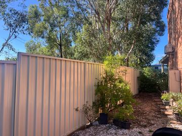 Cream Colorbond privacy fence beside a young tree on a dirt side yard