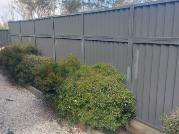 Long charcoal Colorbond privacy fence behind a row of shrubs