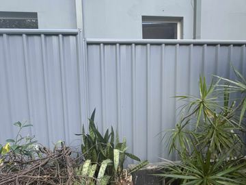 Light grey Colorbond privacy fence behind garden plants against a white house