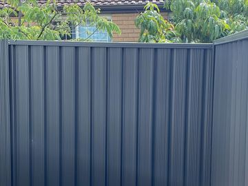Blue-grey Colorbond privacy fence behind garden foliage