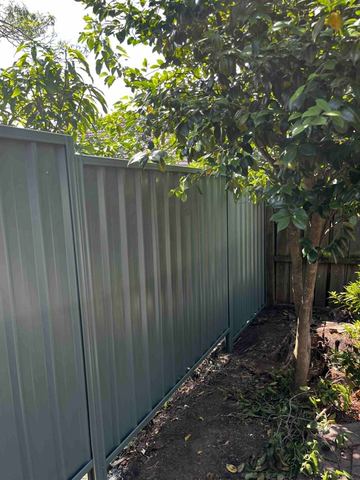 Green Colorbond privacy fence beside a backyard tree