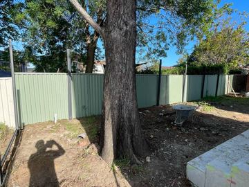Pale green Colorbond privacy fence under established trees on a dirt yard