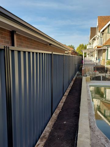 Charcoal Colorbond privacy fence running beside a narrow swimming pool