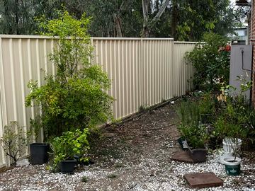 The scene shows a charcoal corrugated steel fence where concrete paving runs alongside.