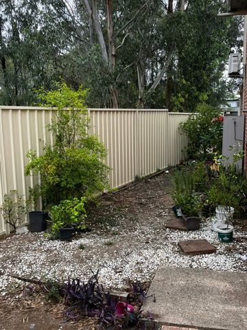 The scene shows a charcoal corrugated steel fence where concrete paving runs alongside.