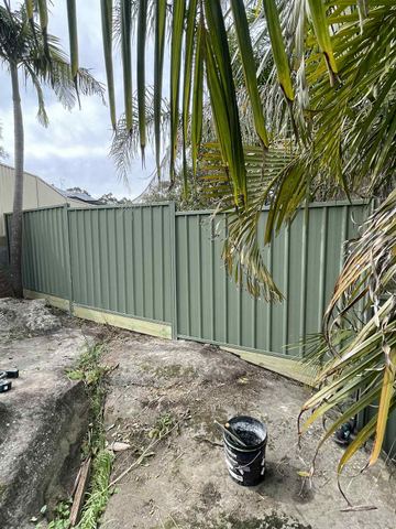 Pale green Colorbond privacy fence standing beside a palm tree on a dirt yard