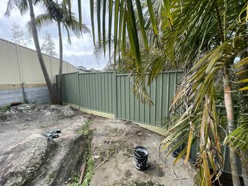Pale green Colorbond privacy fence standing beside a palm tree on a dirt yard