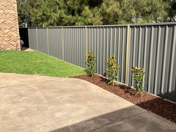Mid grey Colorbond privacy fence beside a driveway and a mulched garden bed with young trees