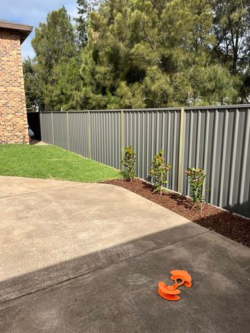 Mid grey Colorbond privacy fence beside a driveway and a mulched garden bed with young trees