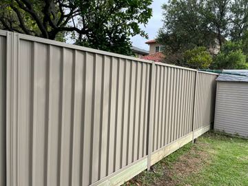 Pale Colorbond privacy fence standing beside a small backyard shed