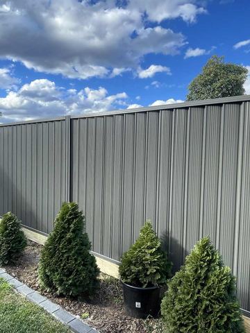 The scene shows a mid grey corrugated steel fence where garden beds sit at the base.
