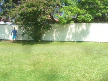 The scene shows a green corrugated steel fence where garden beds sit at the base.