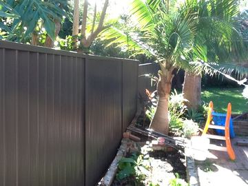Charcoal Colorbond privacy fence beside a palm tree and children's play equipment