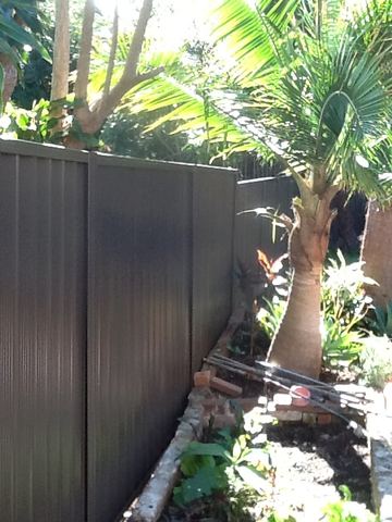 Charcoal Colorbond privacy fence beside a palm tree and children's play equipment