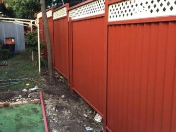 The scene shows a mid grey corrugated steel fence where garden beds sit at the base.