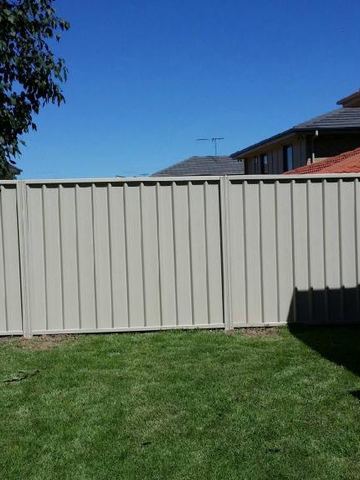 Light grey Colorbond privacy fence on a suburban lawn under a tree