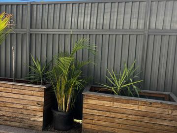 Charcoal panels with a mid-rail stand behind rectangular timber planter boxes filled with palms on grey pavers.