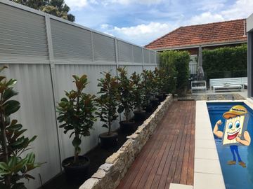 Cream Colorbond fence with a slat topper along a pool garden with potted plants