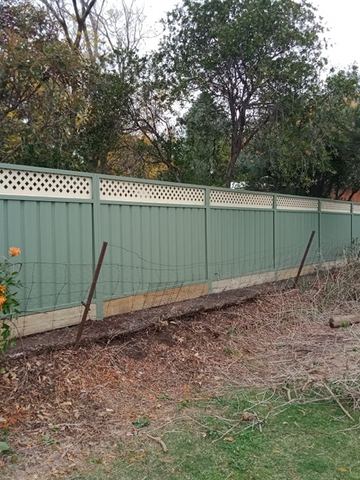 Pale Colorbond privacy fence with a lattice topper across an overgrown yard