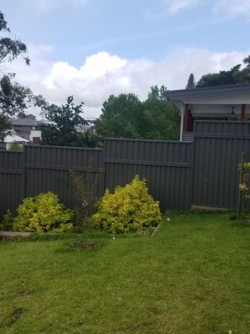 Charcoal Colorbond privacy fence across a lawn with young shrubs