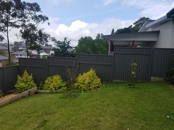 Charcoal Colorbond privacy fence across a lawn with young shrubs